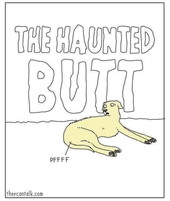 A simple black-and-white cartoon shows a yellow dog lying on its side with a shocked expression, looking back at its own…