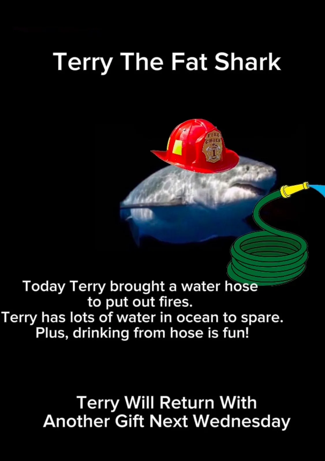 A large shark, labeled 'Terry The Fat Shark,' wears a red firefighter's helmet and is shown next to a cartoon water hose…