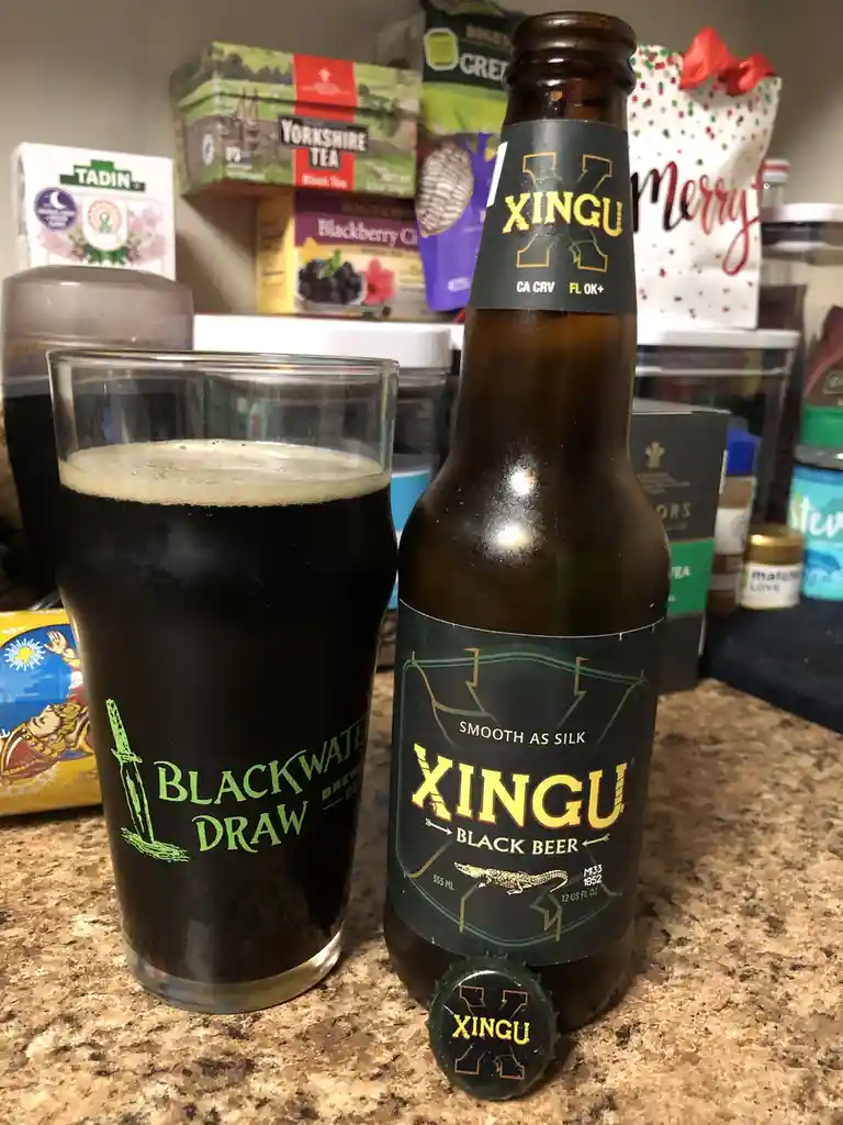 A bottle of Xingu Black Beer with its cap removed sits next to a glass filled with the dark beer, both on a kitchen counter…