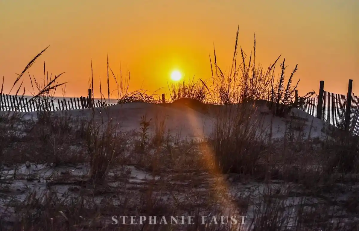 A serene beach sunset photo shows the sun setting over the ocean, framed by silhouetted dune grass and a wooden fence. The…