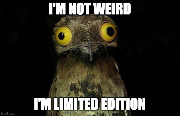 A close-up photo of a nocturnal bird, likely a frogmouth, with large, round, yellow eyes and mottled brown feathers, set…