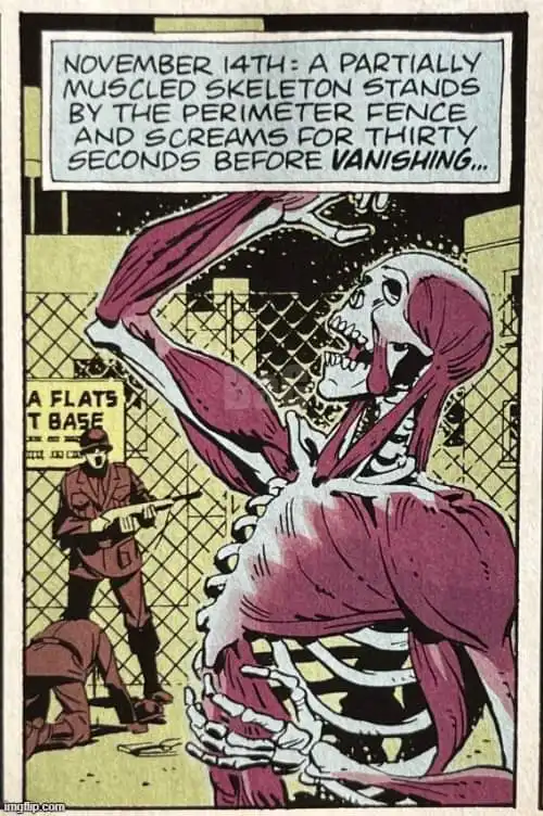 Wishing a Joyful Partially Muscled Skeleton Day to All Celebrants!
