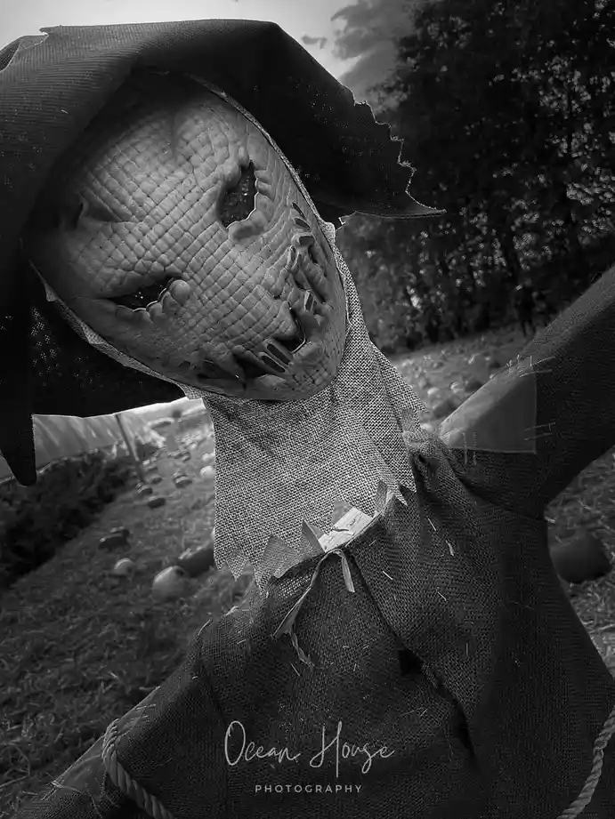 A black-and-white, low-angle photo shows a close-up of a scarecrow with a textured, reptilian-like mask featuring stitched…