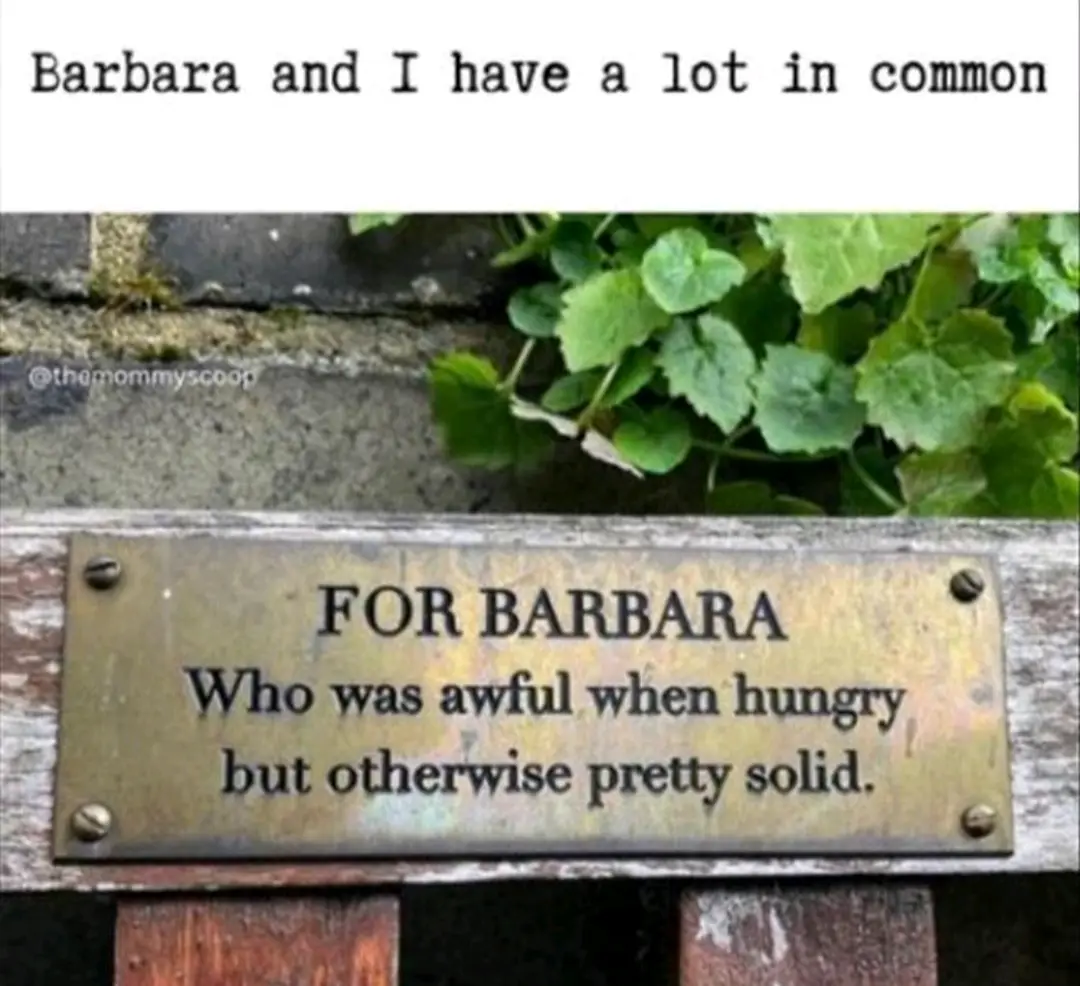 A close-up photo shows a brass plaque mounted on a wooden bench, with green foliage above. The plaque reads 'FOR BARBARA Who…