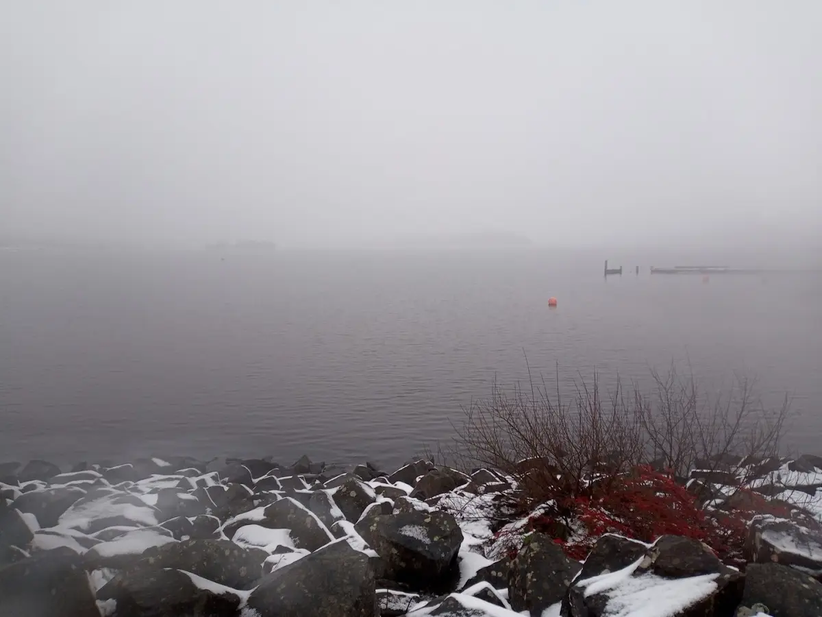 A foggy, snowy lakeside scene with dark rocks in the foreground, a small red bush, and distant docks barely visible through…