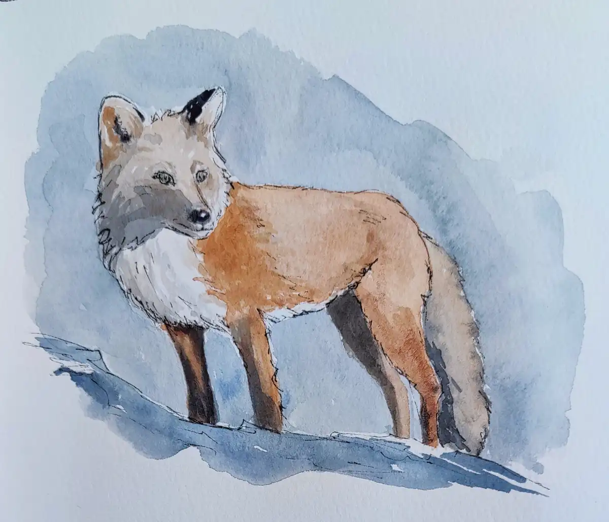 A watercolor painting of a red fox standing on a snowy branch against a blue-gray background. The fox has orange-red fur, a…