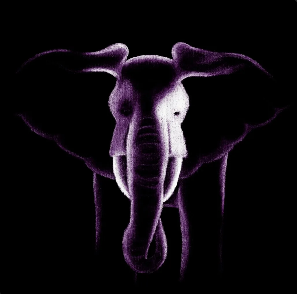 A stylized, purple-hued drawing of an elephant's head and trunk against a black background, with the overlaid text 'i'm not…