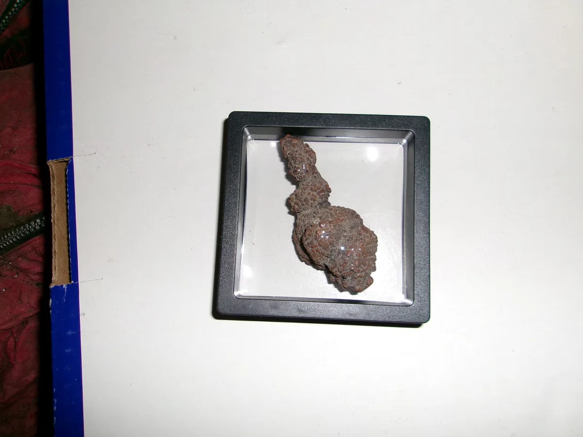 a small, irregularly shaped, brownish object with a bumpy, textured surface is displayed under glass in a black square frame…