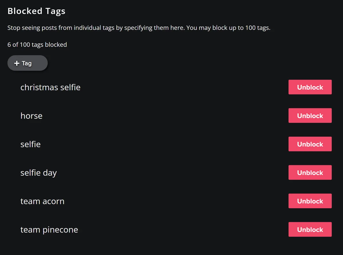 A screenshot of a 'Blocked Tags' settings page showing six blocked tags: 'christmas selfie', 'horse', 'selfie', 'selfie…