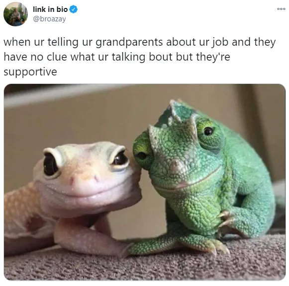 Two lizards, one pale gecko and one green chameleon, are shown side-by-side with gentle, smiling expressions. The gecko…