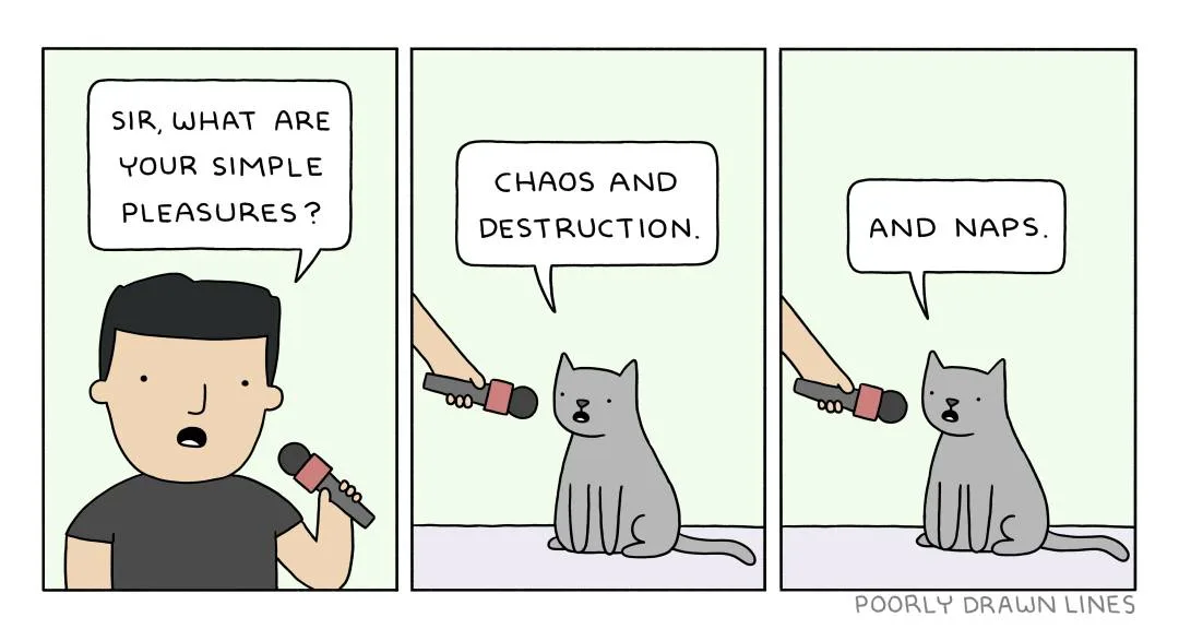 A three-panel comic strip shows a man holding a microphone asking a gray cat, 'SIR, WHAT ARE YOUR SIMPLE PLEASURES?' The cat…