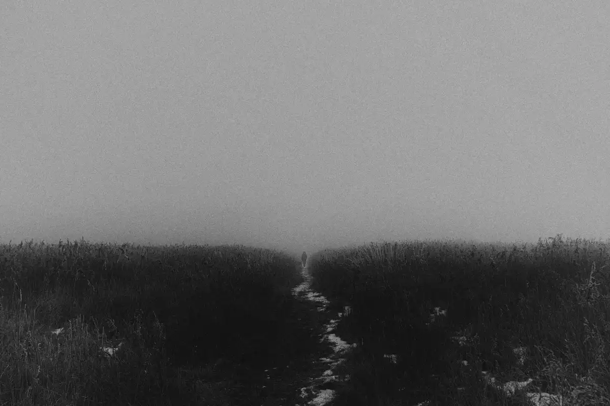 A black-and-white photo shows a lone person walking down a narrow path through tall, dense reeds in a foggy, desolate…