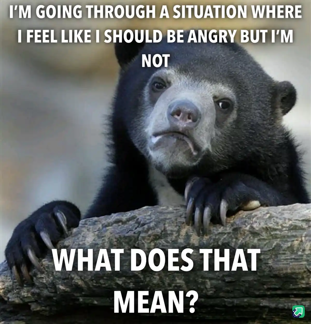 A close-up image of a sad-looking spectacled bear resting its paws on a log, with white text overlaid that reads 'I'M GOING…