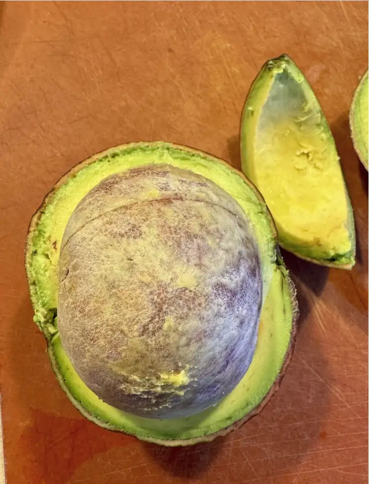 A halved avocado sits on a wooden cutting board, its pit appearing unusually large and misshapen, with a mottled brown and…