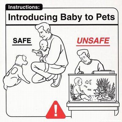 A black-and-white illustrated guide titled 'Introducing Baby to Pets' shows two scenarios. On the left, labeled 'SAFE', a…