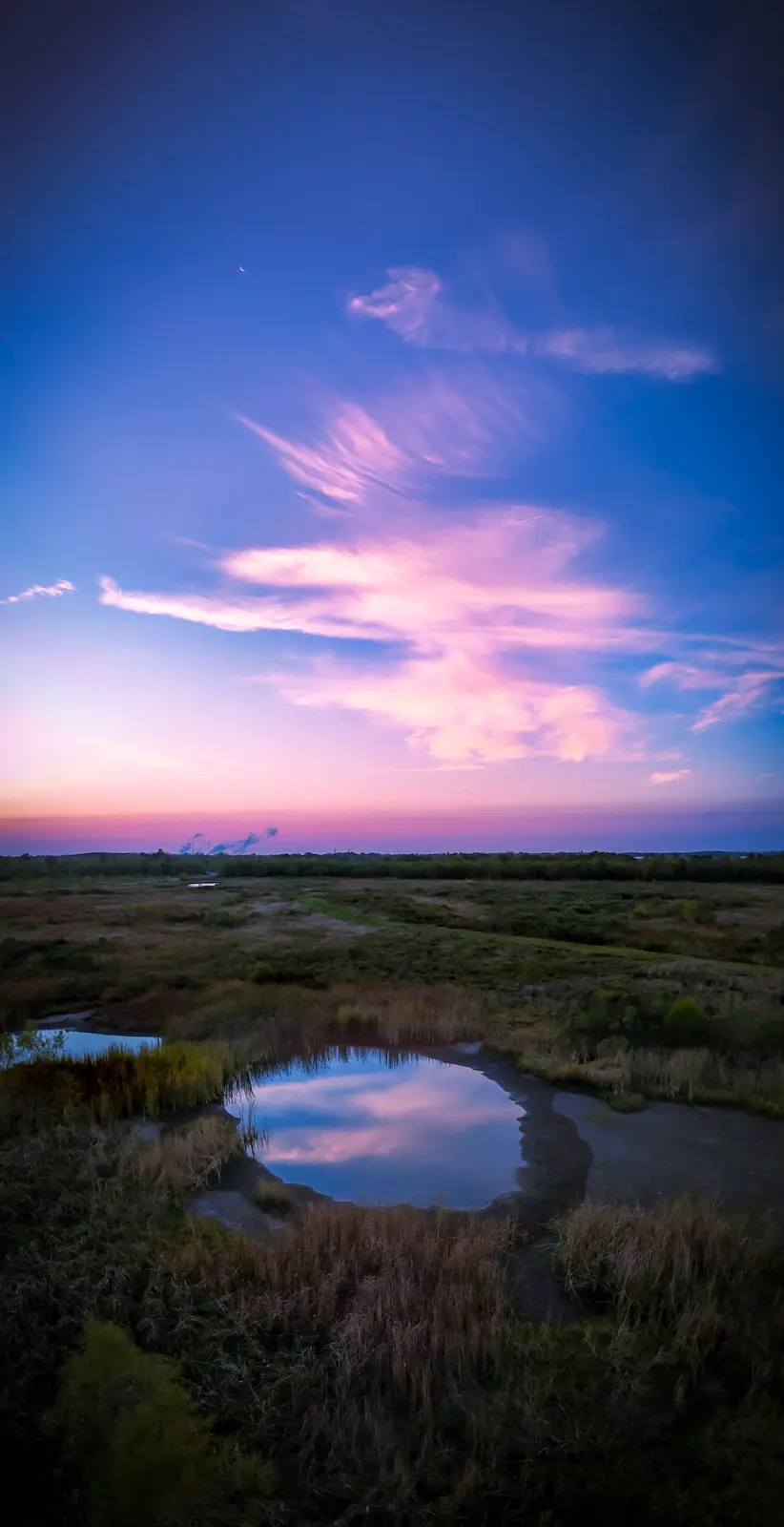 A serene landscape photo of a marshy field at twilight, featuring a small pond reflecting the vibrant pink and blue sky…