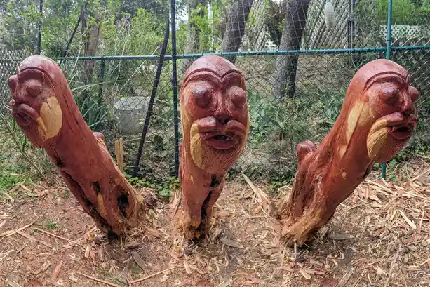 Three carved wooden figures, resembling a man with a mustache, are shown in a garden setting with a chain-link fence and…