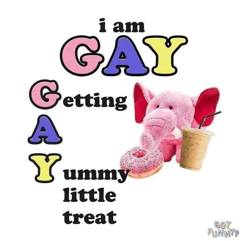 A pink plush elephant sits next to a frosted donut and a coffee drink with a straw. Overlaid text reads 'i am GAY Getting A…