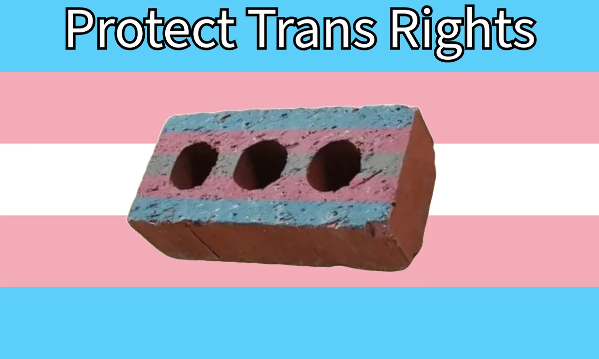 A standard red brick with three holes is painted with the trans flag's pink, white, and blue stripes. The text 'Protect…