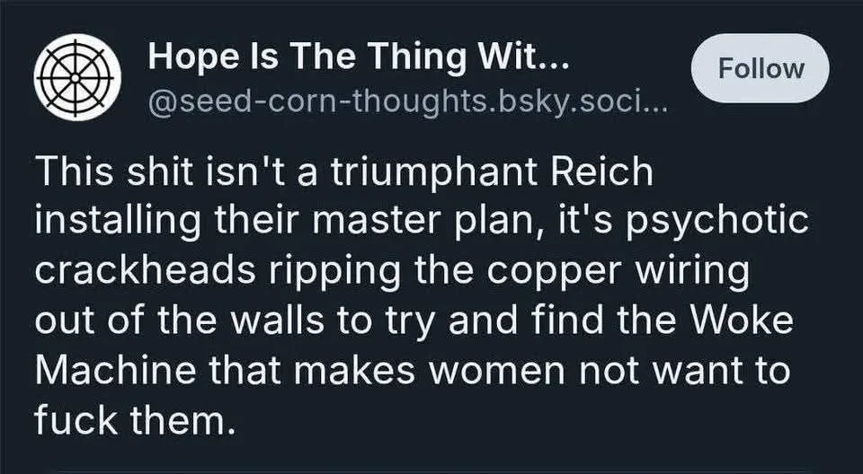 A screenshot of a dark-mode social media post from 'Hope Is The Thing Wit...' with a 'Follow' button. The post's text reads…