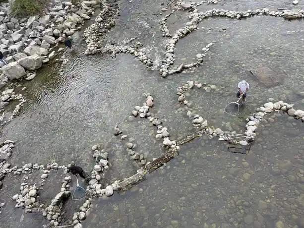 An aerial view shows people wading in a shallow, rocky river where stones have been arranged to form the shape of a large…