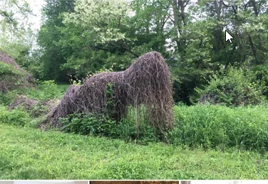 An outdoor photo shows a large, tangled mass of dried vines or brush forming a vaguely humanoid shape in a grassy field with…