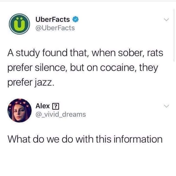 A screenshot of a Twitter thread shows an official UberFacts tweet stating a study found sober rats prefer silence but on…