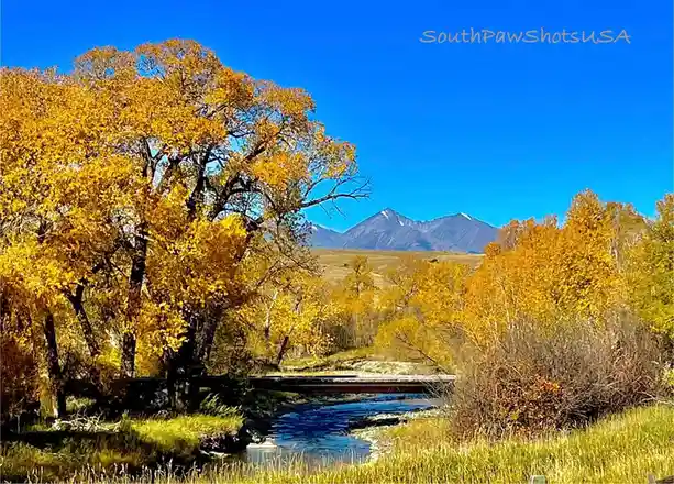 A vibrant autumn landscape featuring golden-yellow aspen trees lining a shallow river with a small wooden bridge, set…