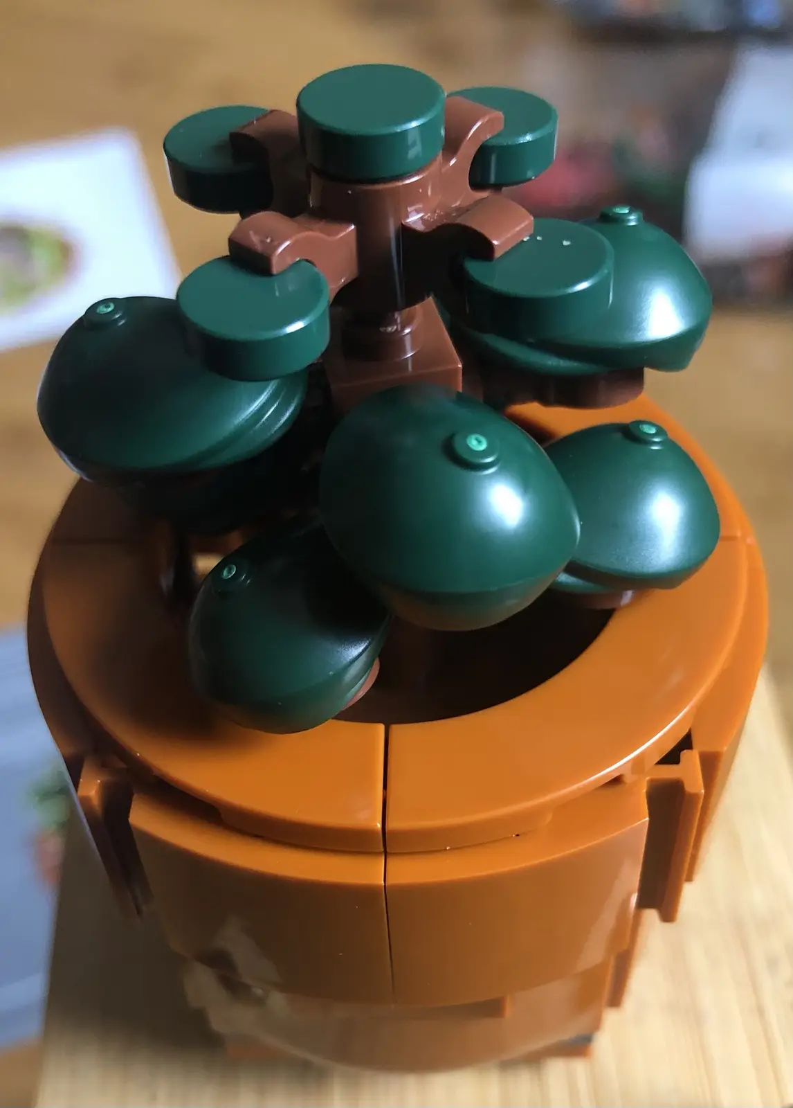 A close-up photo of a LEGO plant model with green dome-shaped leaves and a brown stem and pot, sitting on a wooden surface…