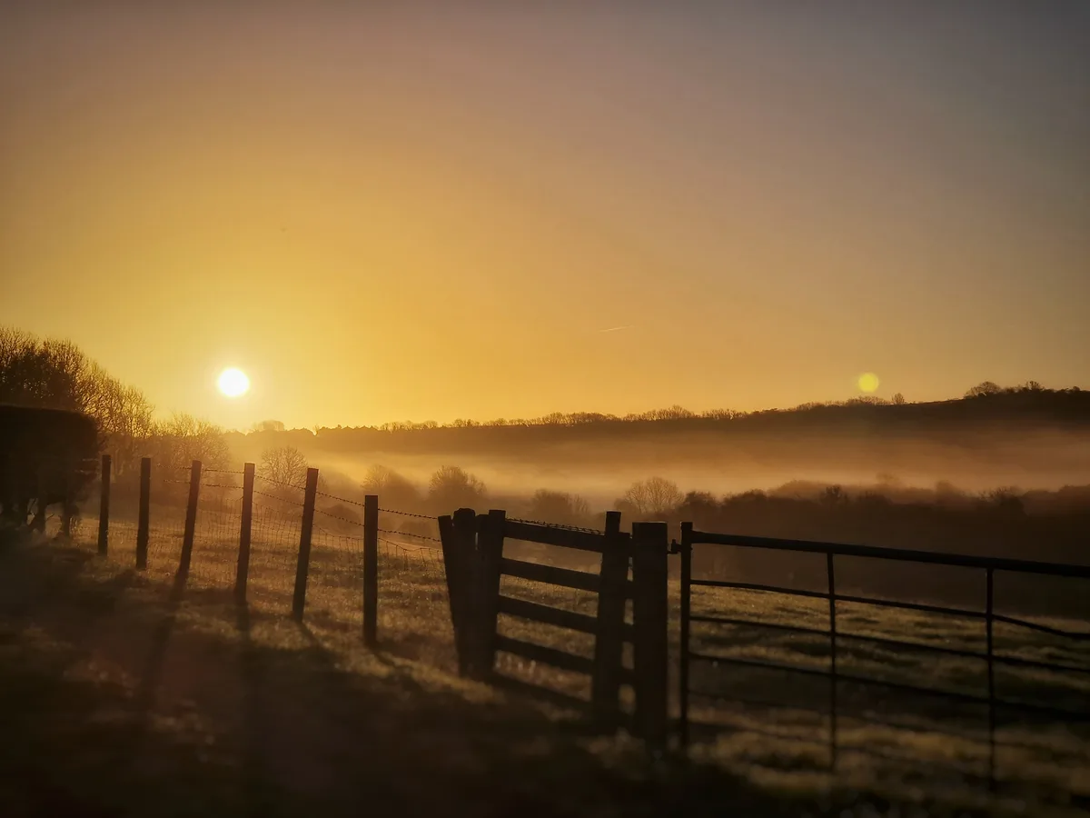 A serene rural landscape at sunrise, featuring a wooden gate and barbed wire fence in the foreground, with mist rolling over…