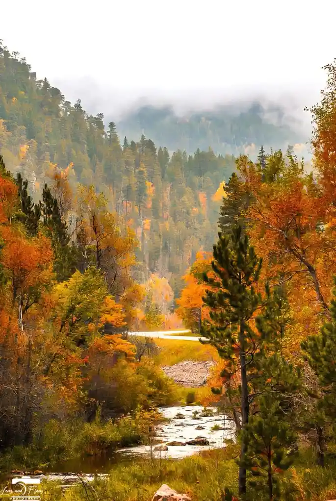 A scenic autumn landscape with a winding road through a forest of orange and green trees, a stream in the foreground, and…