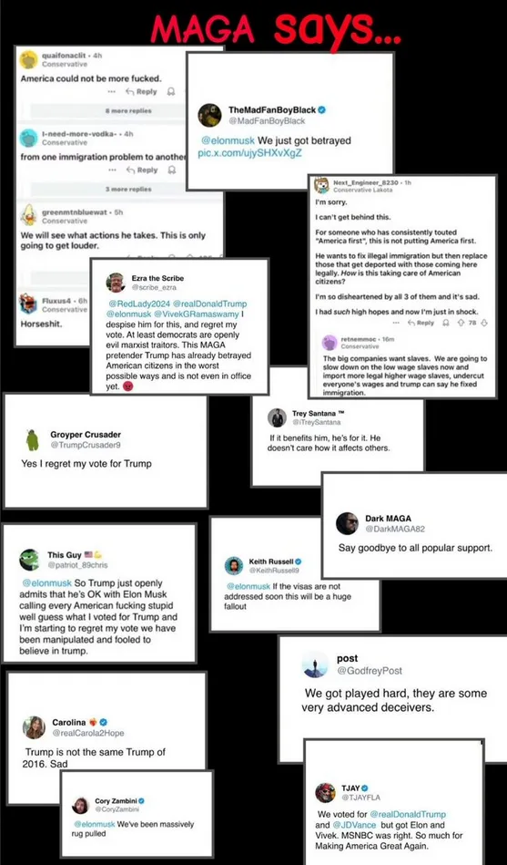 A collage of social media screenshots showing users expressing regret and disillusionment after voting for Trump, blaming…