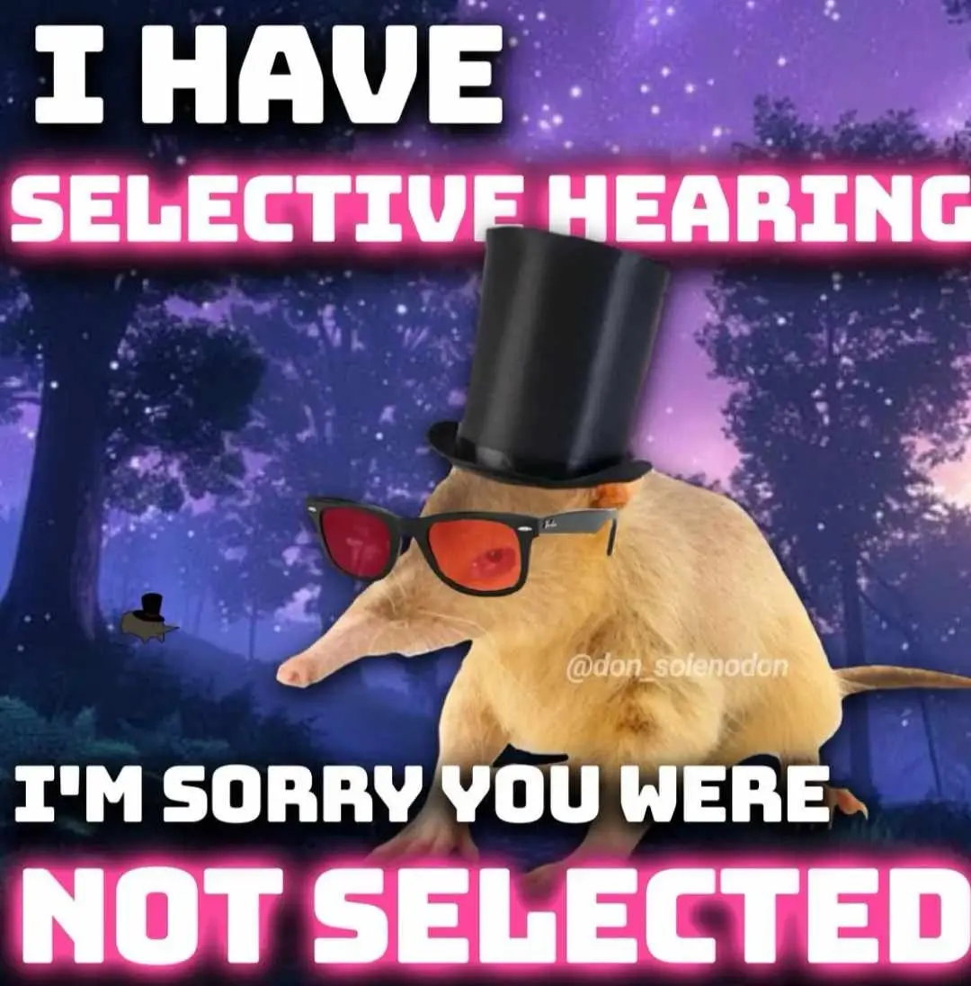 A tan opossum wearing a black top hat and red-tinted sunglasses stands in a starry purple forest. Large white text with pink…