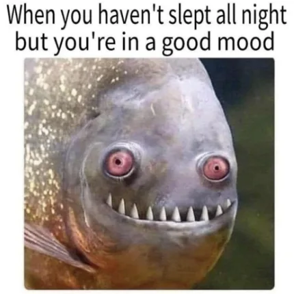 A close-up photo of a piranha with wide, red-rimmed eyes and a toothy grin, overlaid with the text 'When you haven't slept…