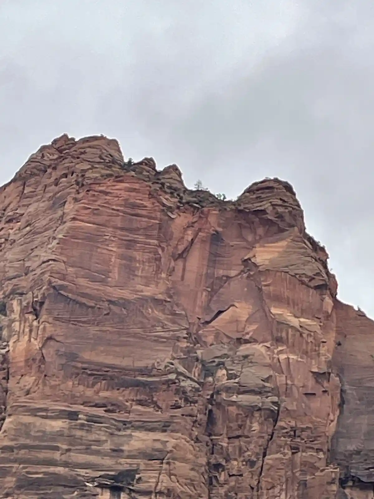 A photograph of a tall, layered red rock formation under an overcast sky, with a single small tree growing on its peak. The…