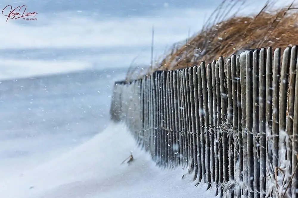 A snowy beach scene shows a wooden fence and dune grass under falling snow, with a small, blurry figure of a person running…