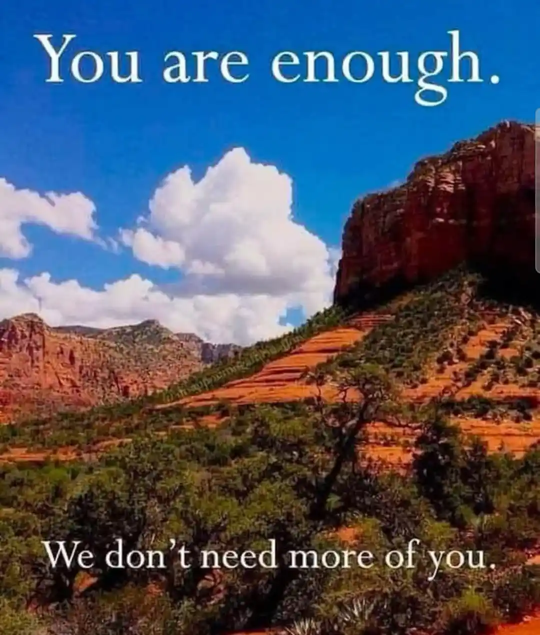 A scenic photo of red rock formations and green shrubs under a blue sky with white clouds. White text at the top reads 'You…
