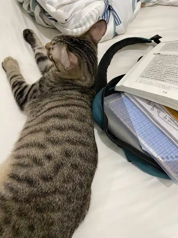一只虎斑猫侧躺在白色床单上，身体舒展，旁边放着一个打开的蓝色背包，里面装着书本和笔记本，书页上有中文文字。猫的头部微微抬起，耳朵竖起，表情看起来很放松。图片上没有文字或叠加的文本。