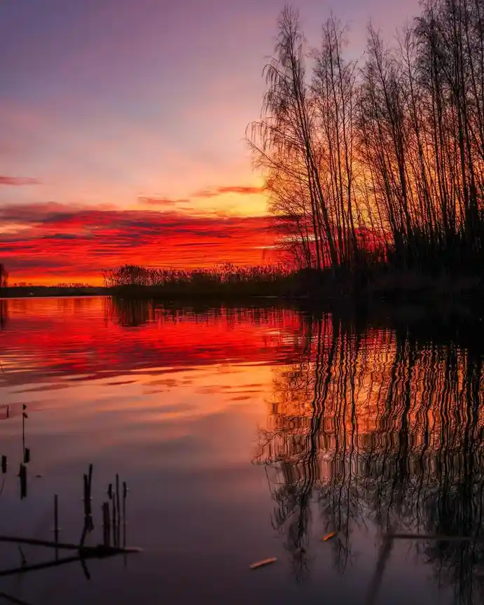 A serene sunset over a calm lake, with vibrant orange and red clouds reflected in the water, silhouetted bare trees on the…