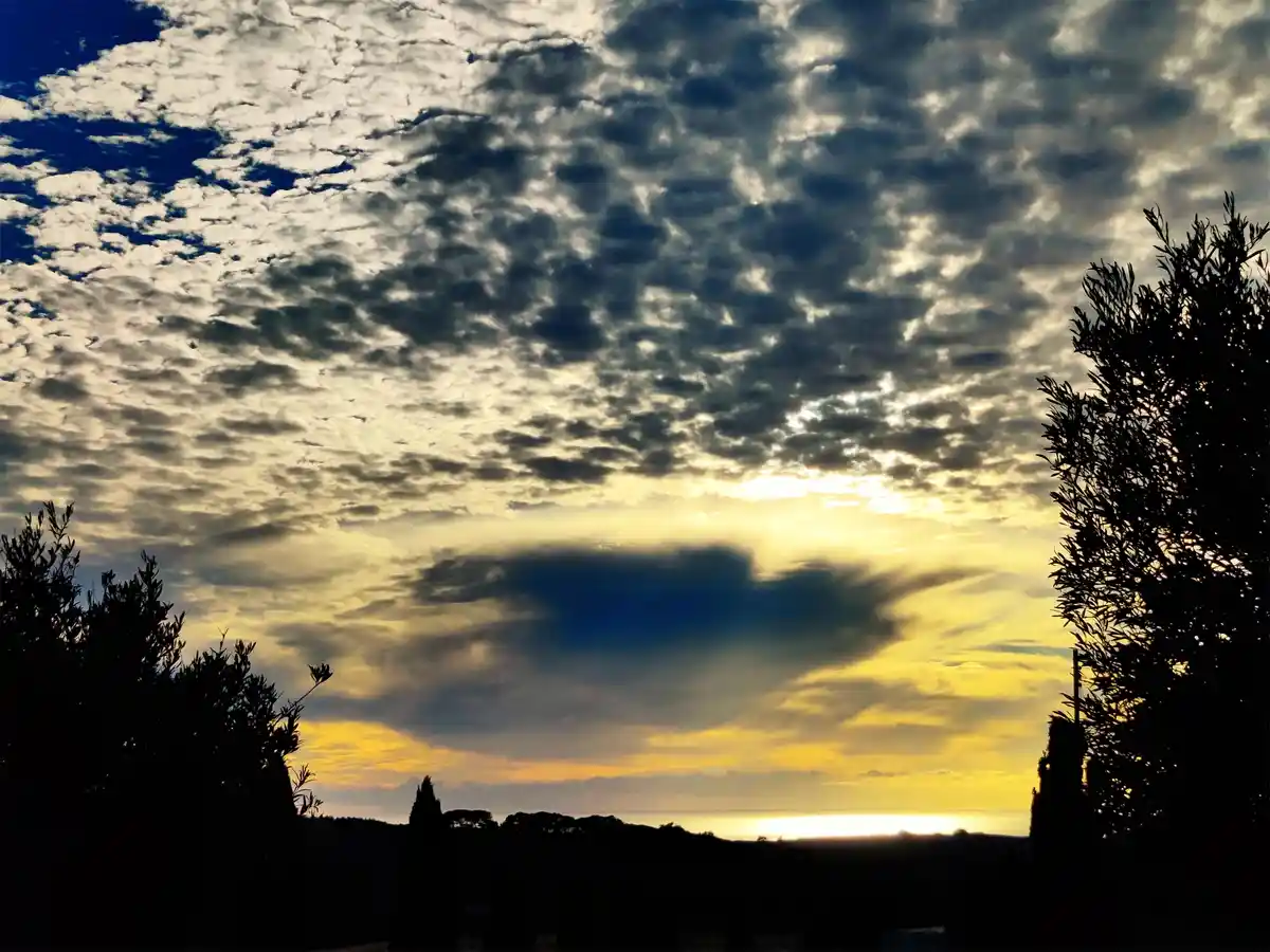A scenic photo of a dramatic sunset or sunrise with textured clouds, golden light, and silhouetted trees framing the view…