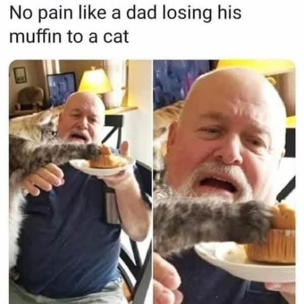 A split image shows a bald man with a shocked expression holding a plate with a muffin. In both panels, a cat's paw is…