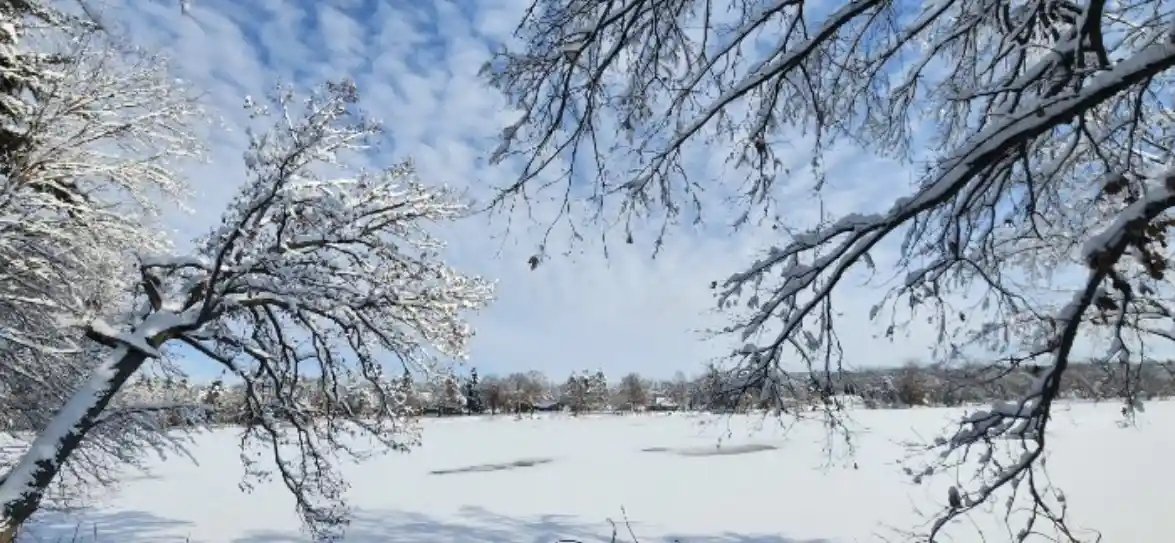 A snowy landscape with snow-covered tree branches framing the view, showing a frozen lake with a few dark patches of open…