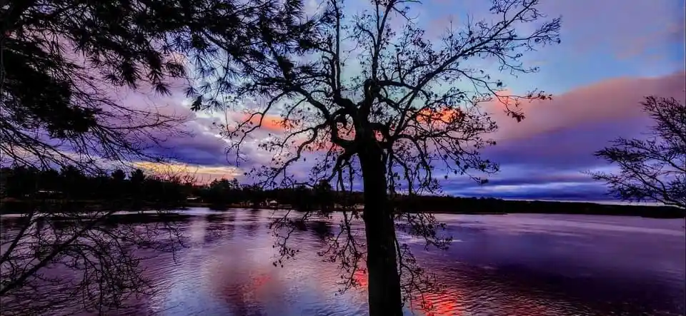 A serene landscape photo of a lone tree silhouetted against a vibrant purple and orange sunset over a calm body of water…