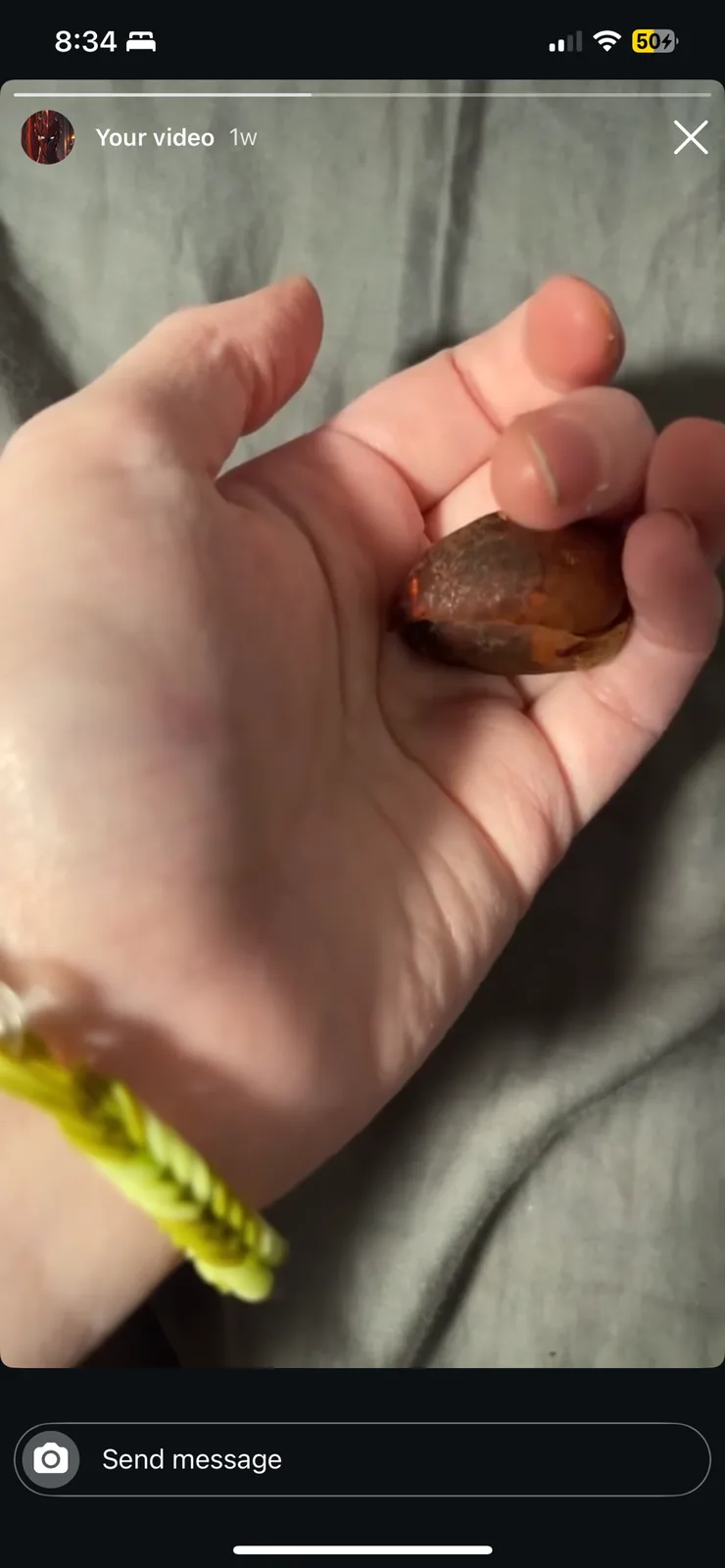 A close-up shot shows a person's hand holding a small, brown, irregularly shaped object that looks like a hard-shelled seed…