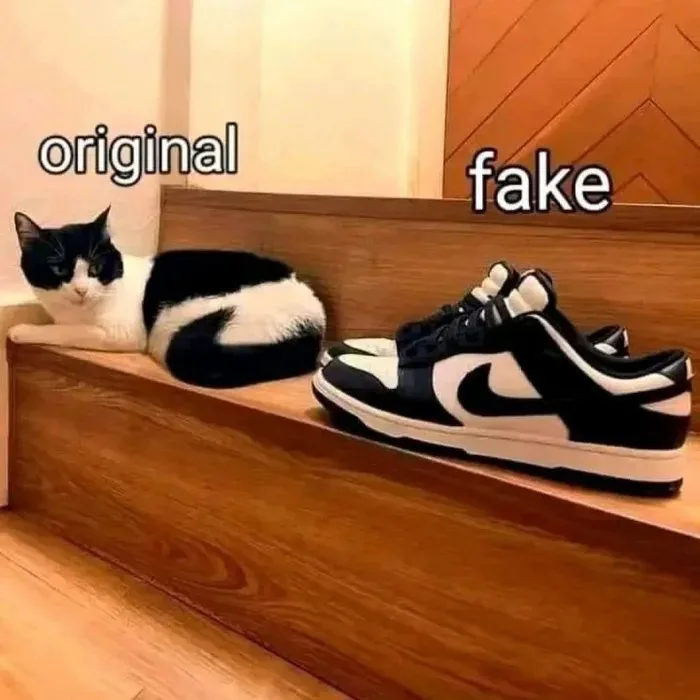 A black and white cat lounging on a wooden step is labeled 'original' while a pair of black and white Nike Dunk sneakers…