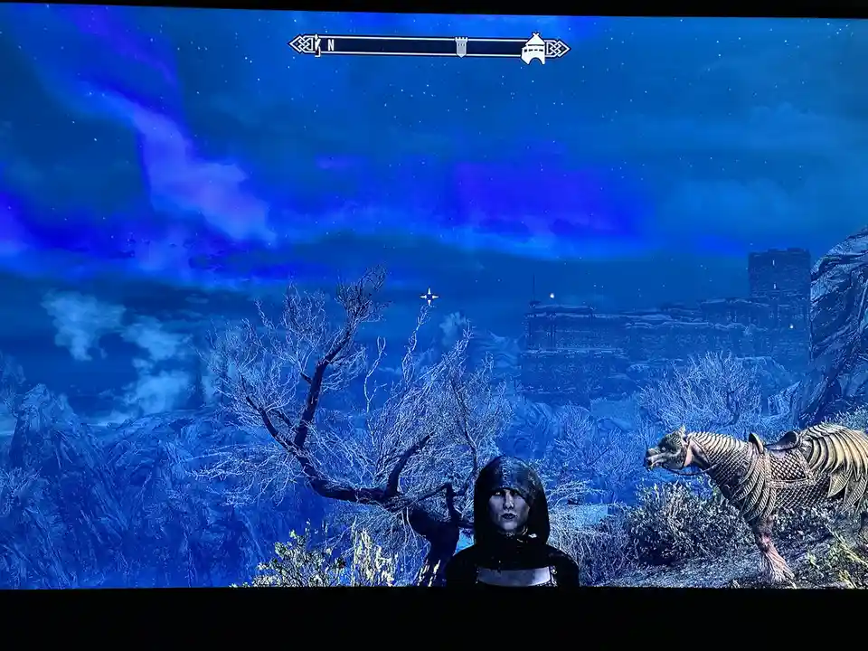 A screenshot from the video game Skyrim shows a character in dark hooded armor standing beside a skeletal horse under a…