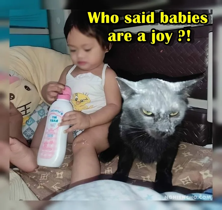 A young child in a white tank top sits on a patterned couch holding a bottle of baby lotion, next to a black cat with a…
