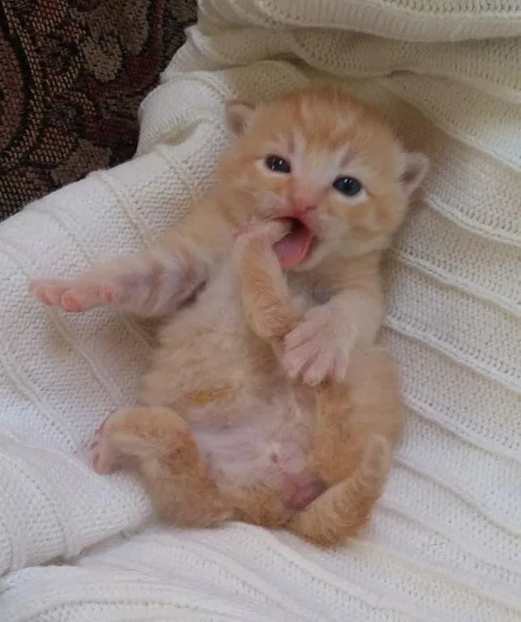 Just a silly baby being adorably goofy