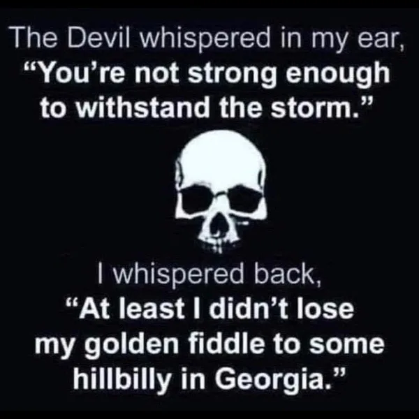 A black background features a white skull centered between two blocks of white text. The top text reads, 'The Devil…
