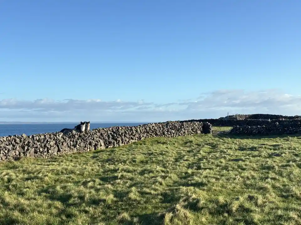Greetings, Arran!